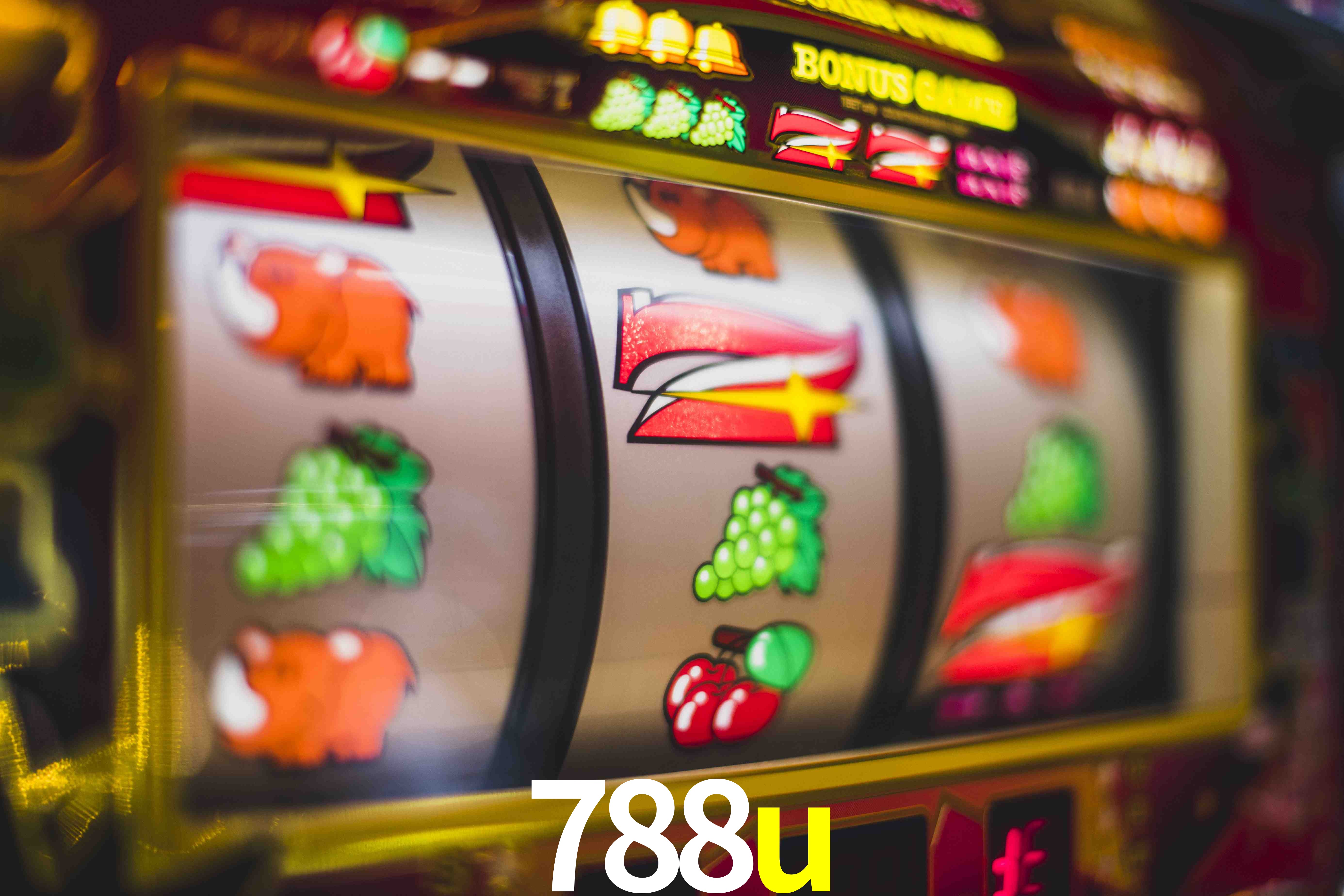 VIP Casino 788u